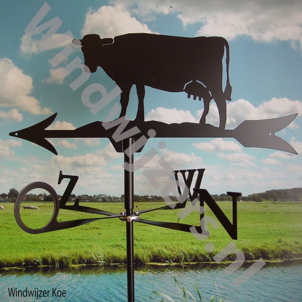 Windwijzer Koe